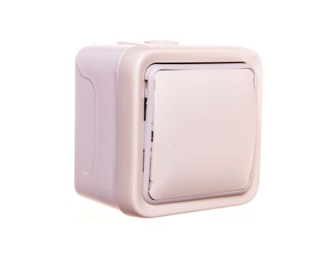 PLEXO55 Wyjście kablowe białe 069779