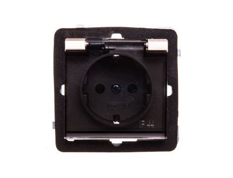 SONATA Gniazdo bryzgoszczelne z/u Schuko IP44 z przesłonami klapka przezroczysta szampański złoty GPH-1RSP/m/39/d