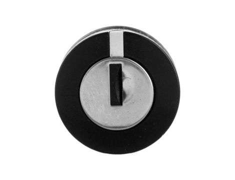 Główka przełącznika piórk., O22, 2 poz., z sam. powr. , Ronis 3131A ZB4BG620