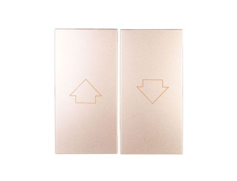 Simon 54 Klawisz do przycisku żaluzjowego SZP1WM złoty mat DKZP1W/44