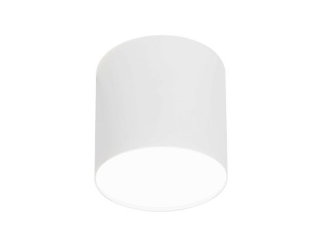 SPOT POINT PLEXI LED WHITE 6525 Nowodvorski