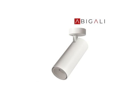 Abigali Oprawa nastropowa biała Posh Cree COB 12W 3000K CRI80 36, ABIGALI-LWQT-W-12-24WW-DIM