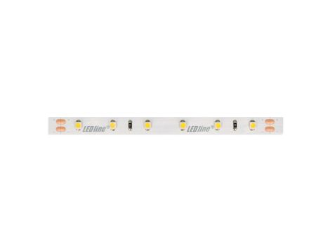 Taśma LED line 300 SMD3528 24V 6500K 4,8W 5 lat gwar. 241789/30m/
