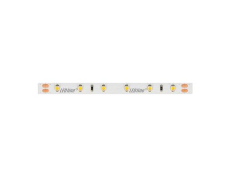 Taśma LED line 300 SMD3528 24V 6500K 4,8W 5 lat gwar. 240676/5m/