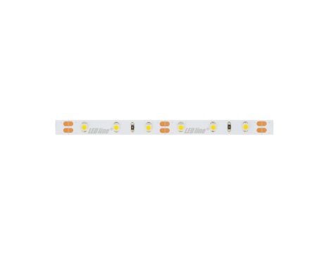 Taśma LED line 300 SMD3528 12V 4000K 4,8W 5 lat gwar. 249426/30m/