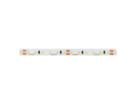 Taśma LED line 600 SMD3528 12V 11000K 9,6W 5 lat gwar. 240331/5m/