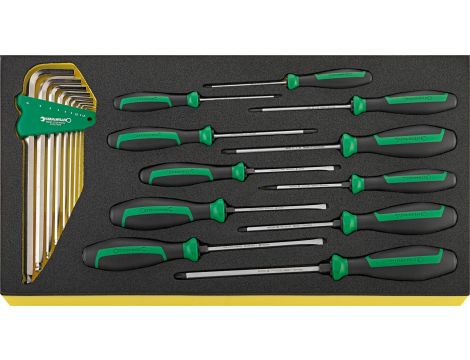 STAHLWILLE - DRALL⁺ TCS WT 4622-4650/20 Zestaw wkrętaków DRALL+ DRALL⁺ TCS WT 4622-4650/20  20 szt. - 96830122