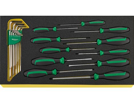 STAHLWILLE - DRALL⁺ TCS WT 4622-4650/24 Zestaw wkrętaków DRALL+ DRALL⁺ TCS WT 4622-4650/24  24 szt. - 96830126