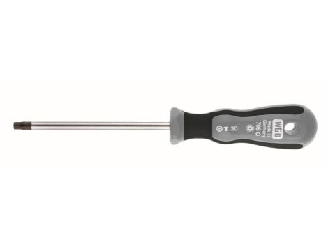 WKRĘTAK TORX Z OTWOREM TX9X70 /WGB/