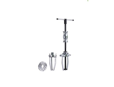 SCIAGACZ Z MLOTKIEM SLIZGOWYM