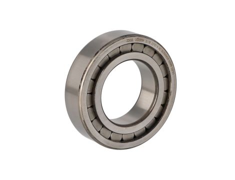 INA - Łożysko SL182210-A-XL 50 x 90 x 23