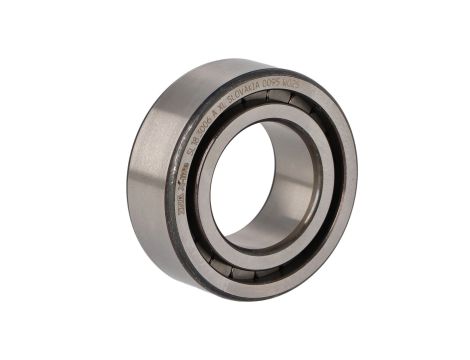 INA - Łożysko SL183006-A-XL 30 x 55 x 19