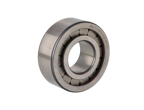 INA - Łożysko SL192309 45 x 100 x 36