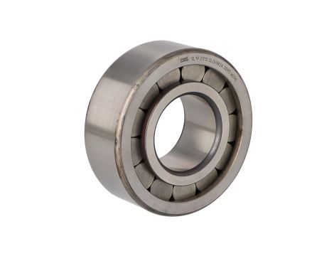 INA - Łożysko SL192310 50 x 110 x 40