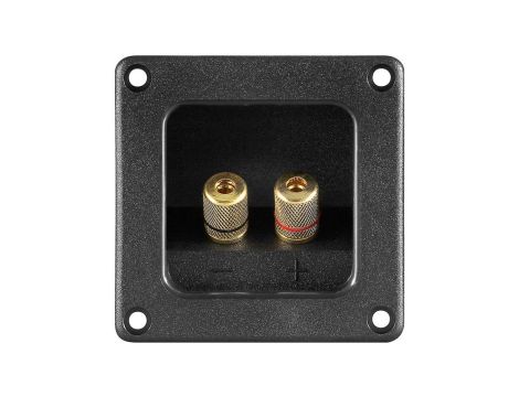 Terminal głośnikowy