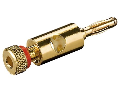 Wtyk bananowy z przyłączem gwintowanym - Wersja kolorystyczna Czerwony