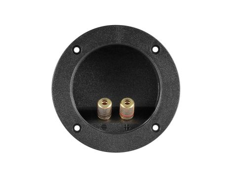 Terminal głośnikowy