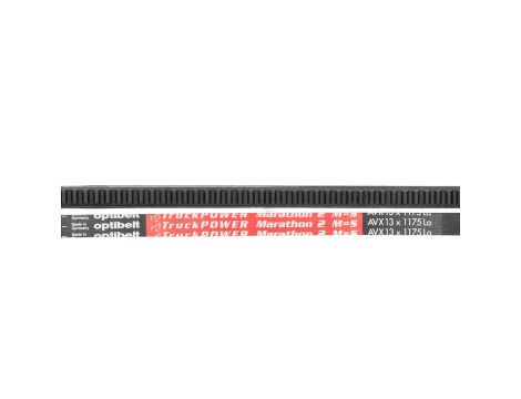 Optibelt - Pas klinowy AVX 13-1175 LA MARATHON 2 1157 x 13 x 10