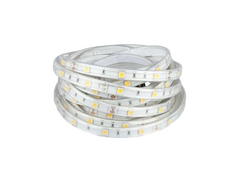 Taśma 150x LED 5050 4.8W/mb biała 6000K IP65 12V op=5m V-TAC VT-5050