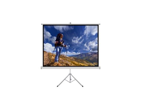 EKRAN RĘCZNY NA STATYWIE 1:1 118 213x213cm TS-84 1:1 ART