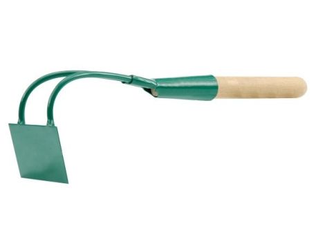 FLO MOTYCZKA PROSTOKĄTNA   35768