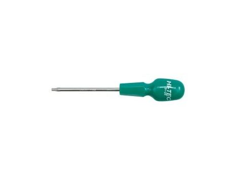 VOREL WKRĘTAK HI-TEC TORX T15 / 100mm   61381