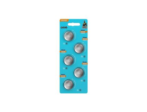 Bateria litowa CR2450 /5szt./