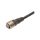 XS2FM12PVC4S20M Kabel: do czujników/automatyki M12 proste 20m
