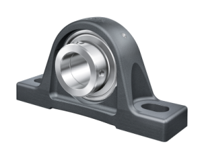 INA - Zespół z oprawą żeliwną 55 x 0 x 0