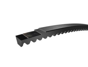 SIT - Pas klinowy uzębiony, WEDGE - Narrow 0 x 0 x 0