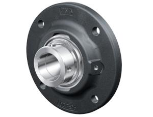 INA - Zespół z oprawą żeliwną 30 x 0 x 0