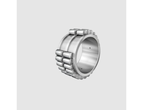 INA - Łożysko walcowe dwurzędowe bez pierścienia zewnętrznego 50 x 72,33 x 40
