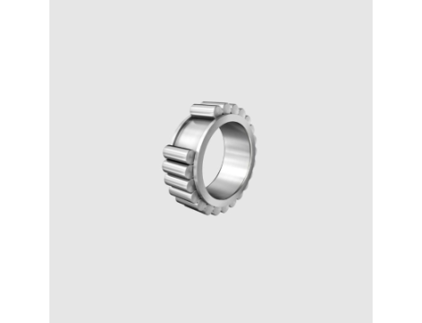 INA - Łożysko walcowe jednorzędowe bez pierścienia zewnętrznego 25 x 42,51 x 16