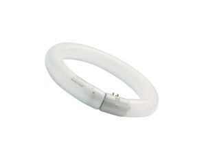 Świetlówka kołowa G10q Fc22/840 T9 circline plus
