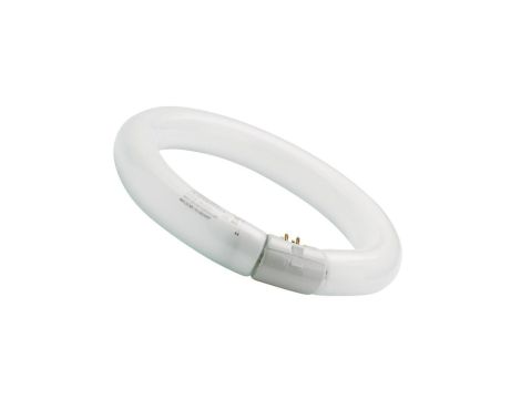 Świetlówka kołowa G10q Fc22/840 T9 circline plus