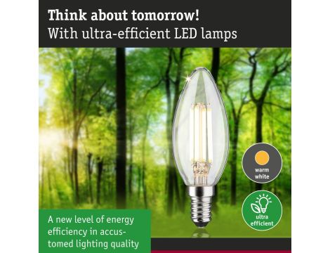 Źródło światła LED ECO LINE świeca 4W 840lm E14 3000K klasa A 230V przezroczysty / szkło - 8