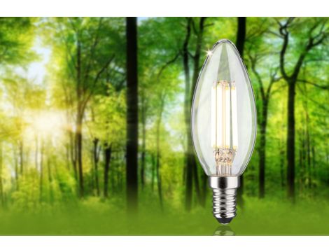 Źródło światła LED ECO LINE świeca 4W 840lm E14 4000K klasa A 230V przezroczysty / szkło - 3