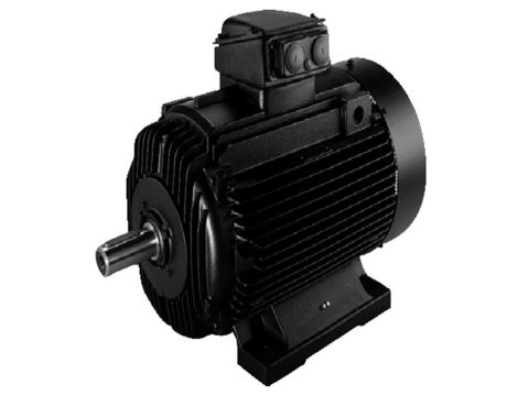 Grundfos - Standardowy silnik 3-fazowy MMG225S-E2 83415134