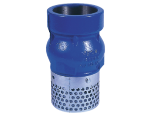 Kosz ssawny gwintowany Typ 102 DN 5