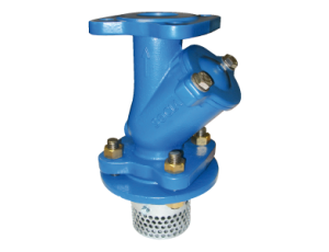 Kosz ssawny kołnierzowy Typ 318 DN 80 Socla