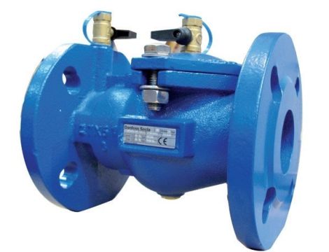 Zawór antyskażeniowy EA 453 DN 100, 4" Socla - 149B3834