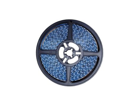Taśma 600x LED 2835 SMD niebieska IP65 12V op=5m