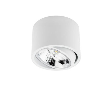 Oprawa Natynkowa Halogenowa SPOT TUBA Ruchoma GU10 AR111 Okrągła Biała 100mm TELES LUMILED