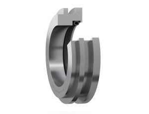 SKF - Uszczelnienie oprawy dzielonej, TS 36 16 x 195.0 x 42.0