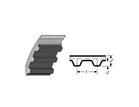 SIT - Pas zębaty bezkońcowy, CLASSICA , 217-L-20 SIT,