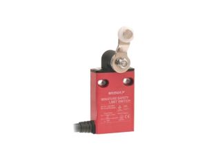 Wyłącznik krańcowy dźwignia R 25mm rolka z tworzywa Ø13,5mm NO +NC 5A EFM-L-3-20