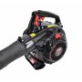 AWTOOLS DMUCHAWA SPALINOWA / ODKURZACZ DO LIŚCI 3w1 0,75 kW/ 1KM 450ml LBV340 - 5