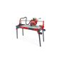 RUBI PRZECINARKA DO GLAZURY DC-250- 850 PHYTON 230V - 2