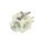 Element stykowy Styki: NO x2 IP00 3mm BZLII_AU