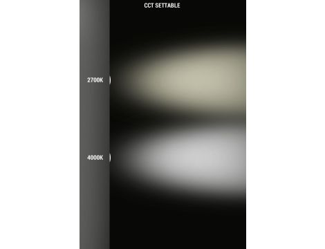 Źródło światła Fumagalli LED CCT GU10 4,8W 2700K/4000K 625lm 230V biały / tworzywo sztuczne - 3